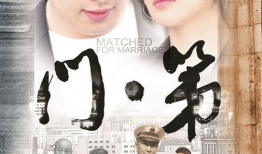 电视剧《门第》,家族恩怨与时代变迁的交织